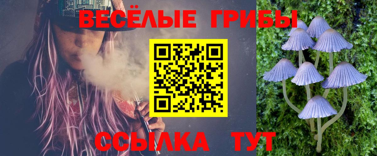 Псилоцибиновые грибы ЛСД  Вход с VPN  Полысаево  Псилоцибиновые грибы мицелий 
